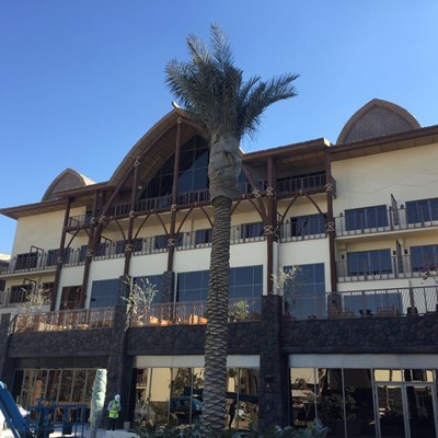 Lapita, Dubai Parks Hotel 1